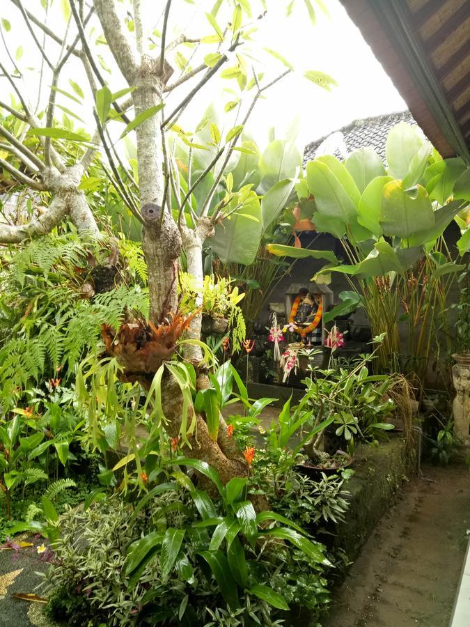 Krisda Ubud Guest House Εξωτερικό φωτογραφία